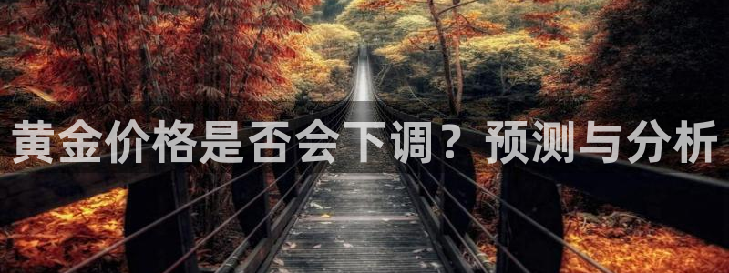 壹号大舞台28国际大舞台：黄金价格是否会下调？预测与分析