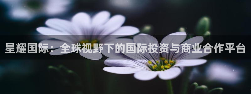 壹号app下载官网娱乐：星耀国际：全球视野下的国际投资与商业合作平台