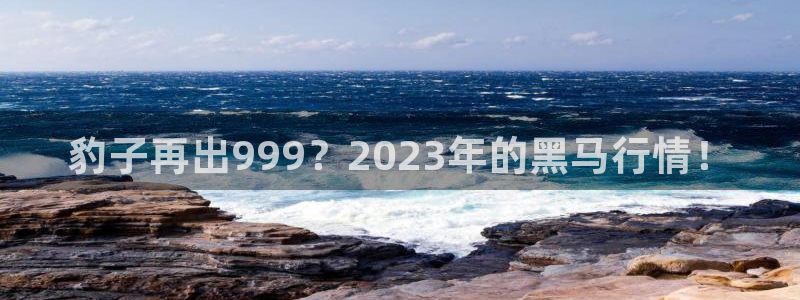 壹号电子娱乐app下载安装：豹子再出999？2023年的黑马行情！