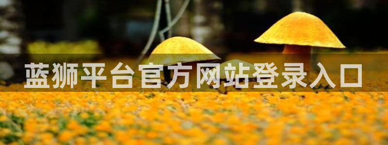 壹号app下载苹果：蓝狮平台官方网站登录入口