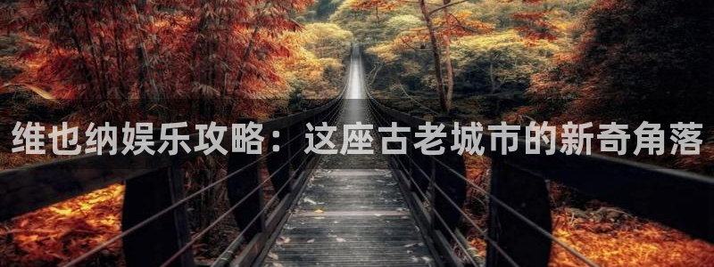 万向娱乐平台app下载安装：维也纳娱乐攻略：这座古老城市的新奇角落