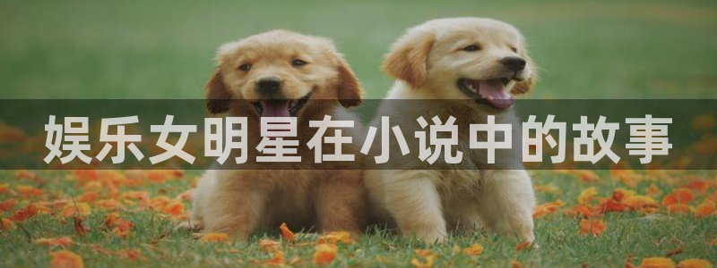 壹号国际app免费下载安装：娱乐女明星在小说中的故事