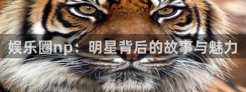 万向娱乐下载入口：娱乐圈np：明星背后的故事与魅力