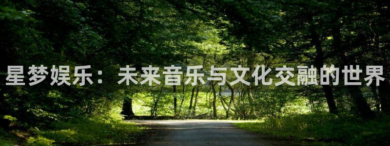 万向娱乐app下载：星梦娱乐：未来音乐与文化交融的世界