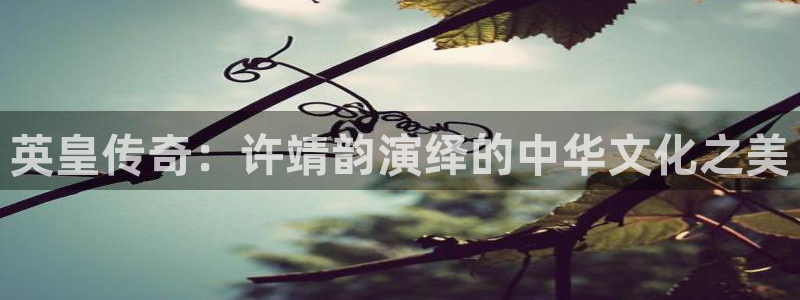 万向娱乐-ng大舞台,有梦你就来：英皇传奇：许靖韵演绎的中华文化之美