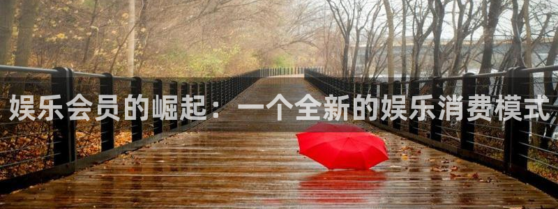 万向娱乐官网入口：娱乐会员的崛起：一个全新的娱乐消费模式