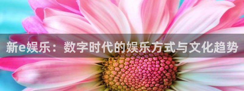壹号大舞台,有梦你就来：新e娱乐：数字时代的娱乐方式与文化趋势