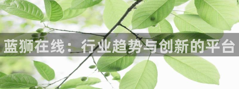 壹号大舞台：蓝狮在线：行业趋势与创新的平台