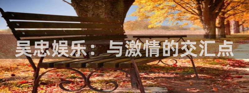 万向娱乐app官网下载：吴忠娱乐：与激情的交汇点