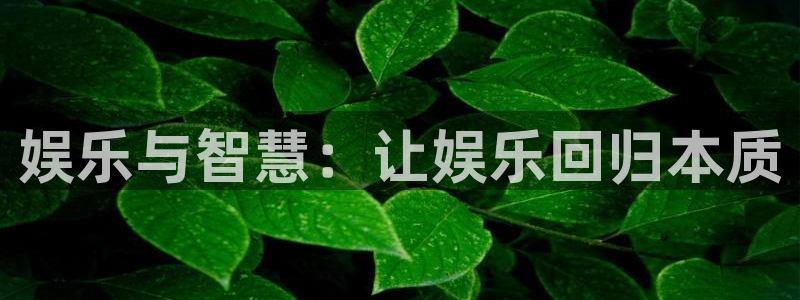 万向娱乐,apk