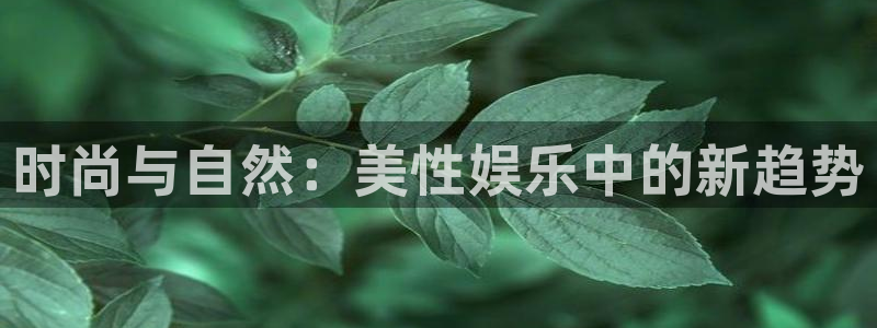 万向娱乐强制退款流程详解