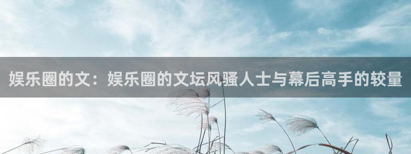 万向娱乐充值怎么退款：娱乐圈的文：娱乐圈的文坛风骚人士与幕后高手的较量